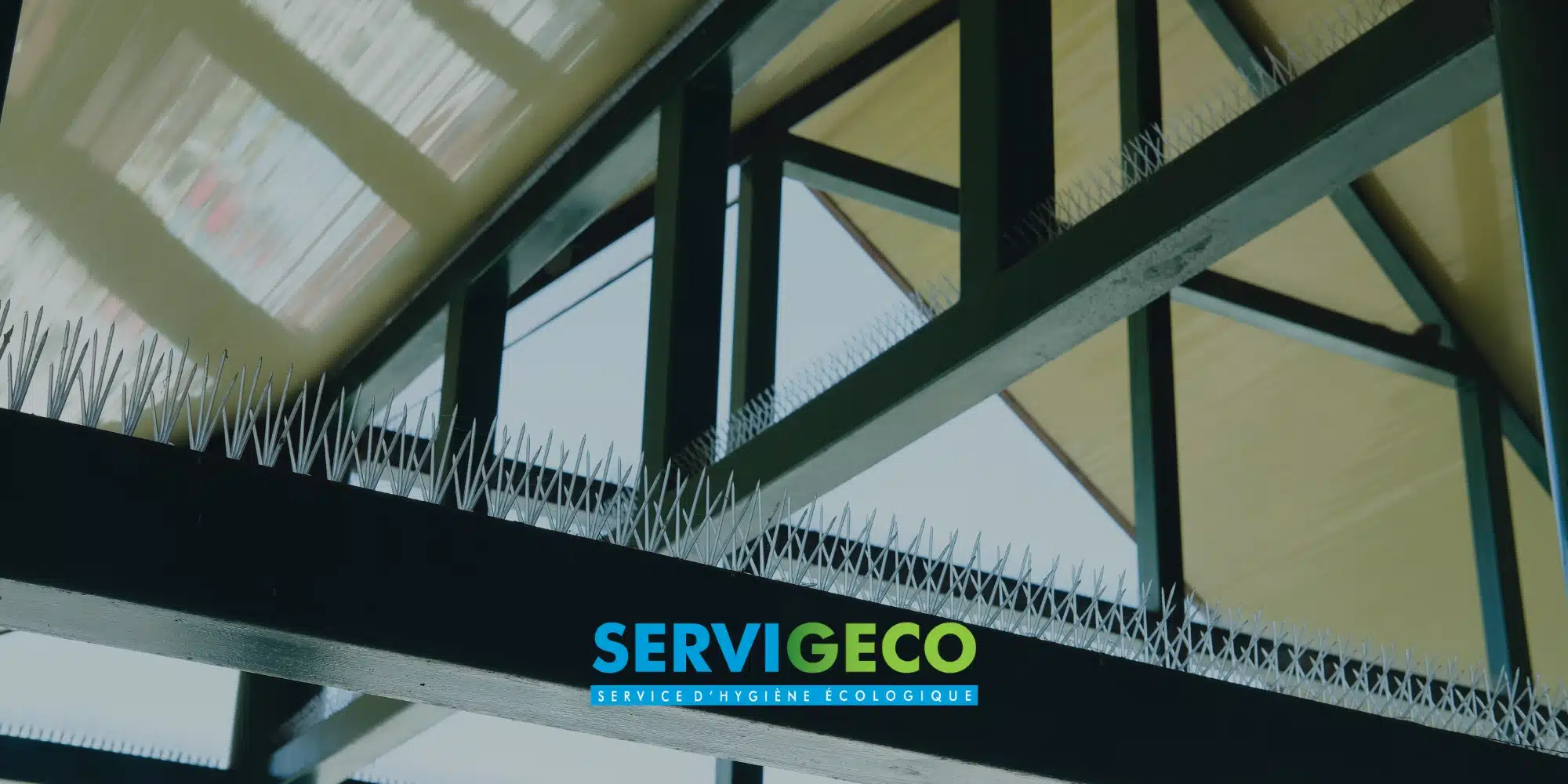 Dispositifs anti-volatiles efficacité, conformité et durabilité