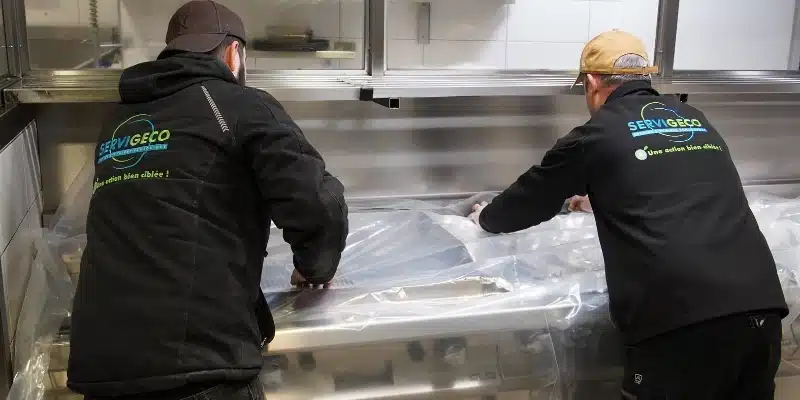 Opération restaurant blatte et hotte de cuisine