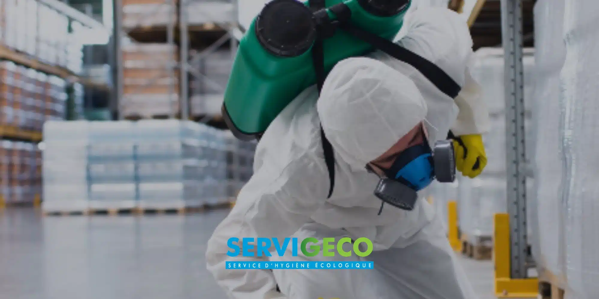 Pourquoi un suivi régulier est indispensable pour protéger vos locaux des nuisibles